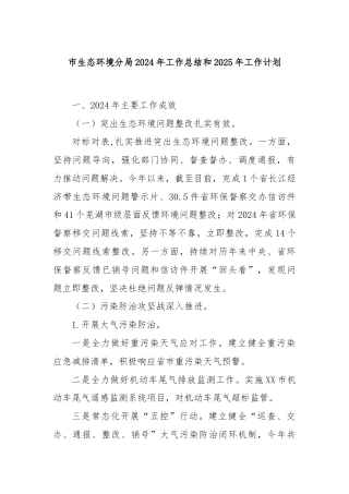 市生态环境分局2024年工作总结和2025年工作计划