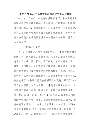 市水利局2024年工作情况总结及下一步工作计划