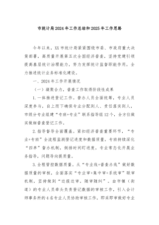 市统计局2024年工作总结和2025年工作思路