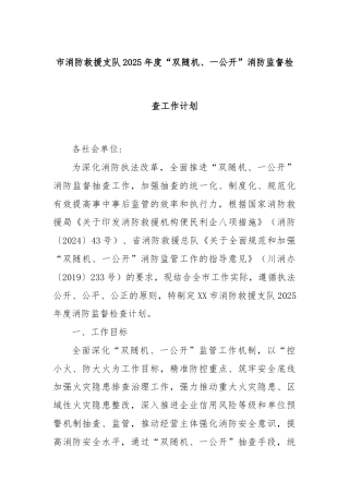市消防救援支队2025年度“双随机、一公开”消防监督检查工作计划