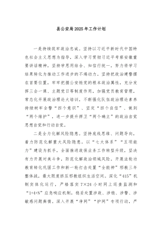 县公安局2025年工作计划