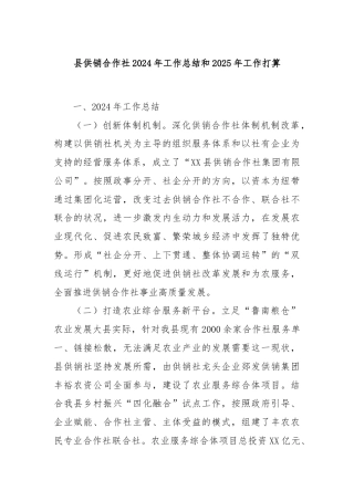 县供销合作社2024年工作总结和2025年工作打算