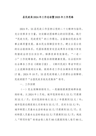 县民政局2024年工作总结暨2025年工作思路