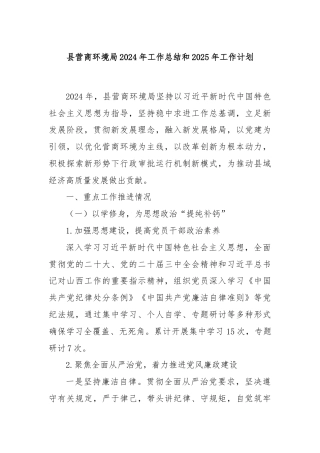 县营商环境局2024年工作总结和2025年工作计划