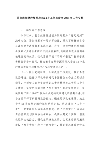 县自然资源和规划局2024年工作总结和2025年工作安排