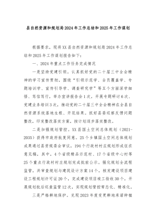 县自然资源和规划局2024年工作总结和2025年工作谋划