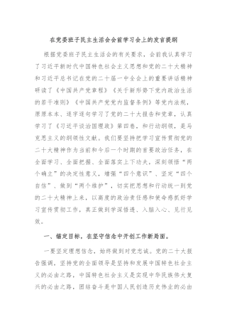 在党委班子民主生活会会前学习会上的发言提纲