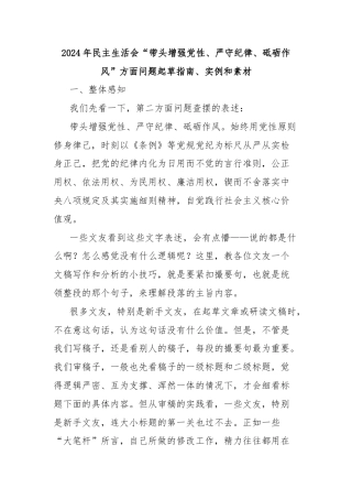 2024年民主生活会“带头增强党性、严守纪律、砥砺作风”方面问题起草指南、实例和素材