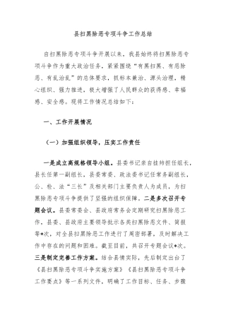 县扫黑除恶专项斗争工作总结