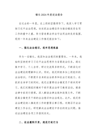 镇长2024年度述法报告