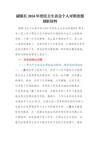 副镇长2024年度民主生活会个人对照查摆剖析材料
