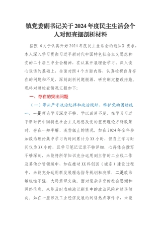 镇党委副书记关于2024年度民主生活会个人对照查摆剖析材料