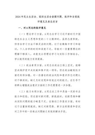 2024年民主生活会、组织生活会查摆问题、批评和自我批评意见及表态发言