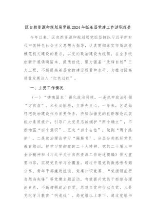 区自然资源和规划局党组2024年抓基层党建工作述职报告