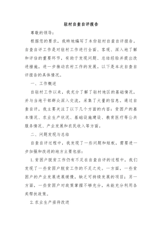 驻村自查自评报告