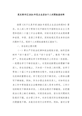 党支部书记2024年民主生活会个人对照检查材料