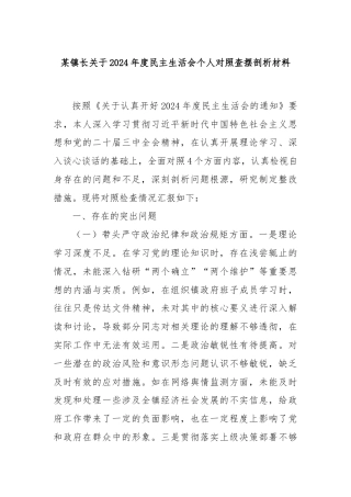 某镇长关于2024年度民主生活会个人对照查摆剖析材料