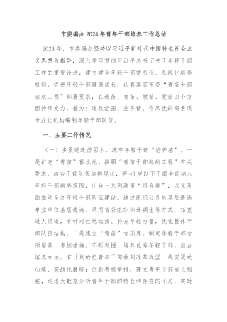 市委编办2024年青年干部培养工作总结