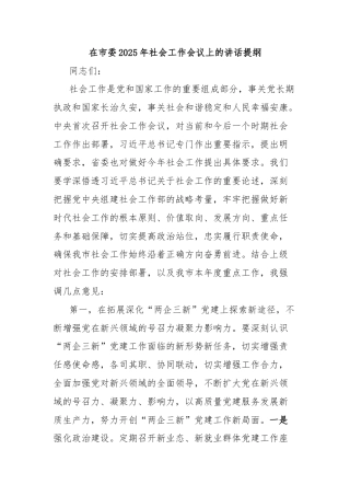 在市委2025年社会工作会议上的讲话提纲