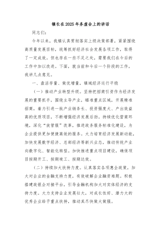 镇长在2025年务虚会上的讲话