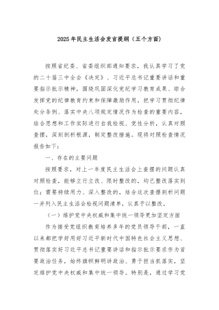 2025年民主生活会发言提纲（五个方面)