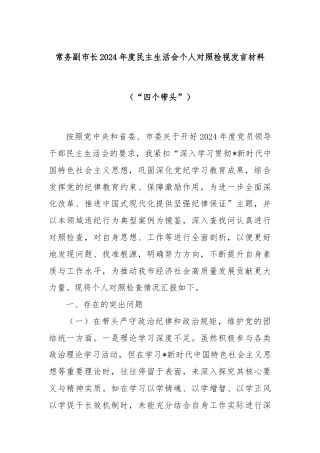常务副市长2024年度民主生活会个人对照检视发言材料（“四个带头”）