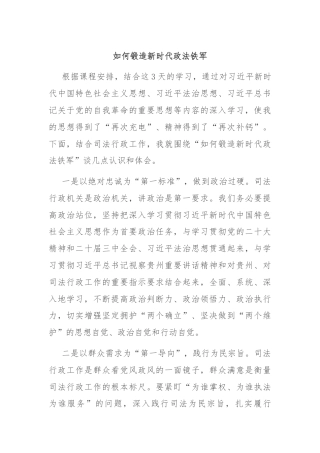 如何锻造新时代政法铁军