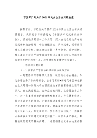 市直部门副局长2024年民主生活会对照检查