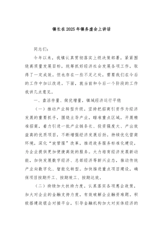 镇长在2025年镇务虚会上讲话