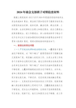 2024年商会支部班子对照检查材料