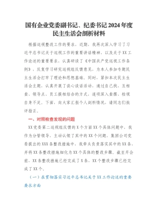 国有企业党委副书记、纪委书记2024年度民主生活会剖析材料