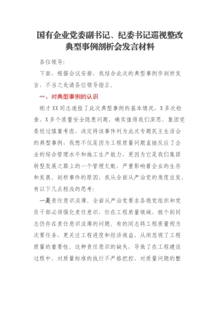国有企业党委副书记、纪委书记巡视整改典型事例剖析会发言材料