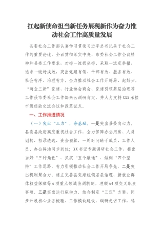 扛起新使命担当新任务展现新作为奋力推动社会工作高质量发展