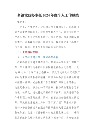 乡镇党政办主任2024年度个人工作总结