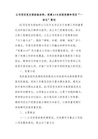 公司项目党支部经验材料：党建4＋N实现党建和项目“一体化”策划