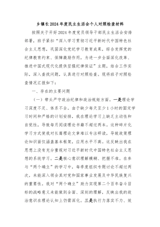 乡镇长2024年度民主生活会个人对照检查材料