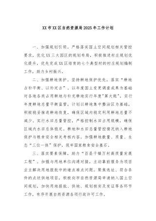 XX市XX区自然资源局2025年工作计划