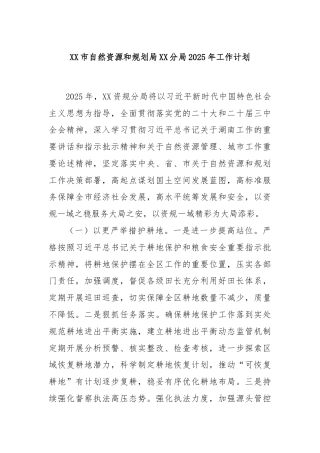 XX市自然资源和规划局XX分局2025年工作计划