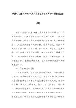 城投公司党委2024年度民主生活会领导班子对照检视发言材料