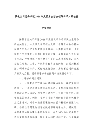 城投公司党委书记2024年度民主生活会领导班子对照检视发言材料