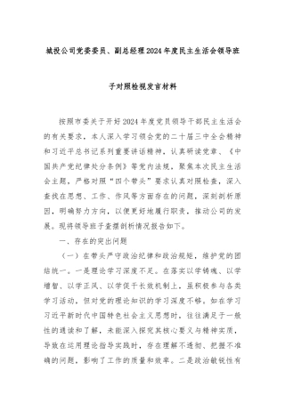 城投公司党委委员、副总经理2024年度民主生活会领导班子对照检视发言材料