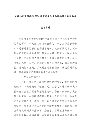 城投公司党委委员2024年度民主生活会领导班子对照检视发言材料