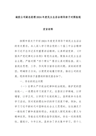 城投公司副总经理2024年度民主生活会领导班子对照检视发言材料