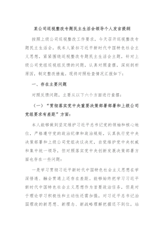 某公司巡视整改专题民主生活会领导个人发言提纲