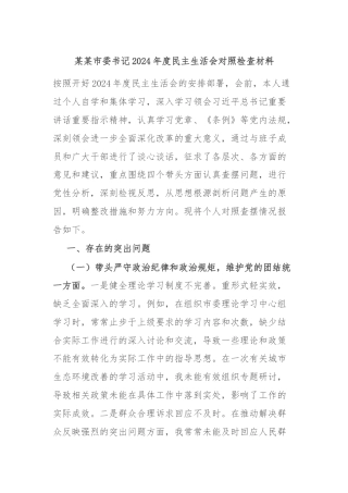 某某市委书记2024年度民主生活会对照检查材料