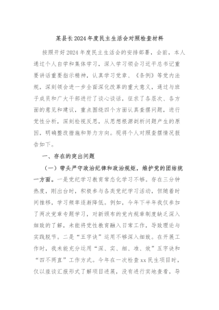 某县长2024年度民主生活会对照检查材料