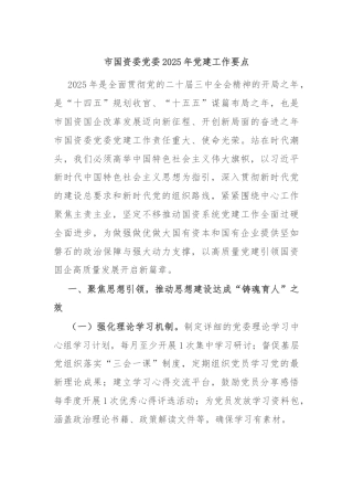 市国资委党委2025年党建工作要点