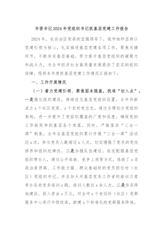 市委书记2024年党组织书记抓基层党建工作报告