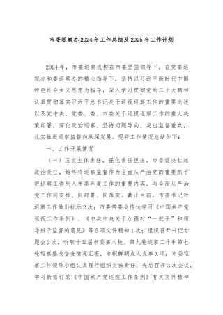 市委巡察办 2024 年工作总结及 2025 年工作计划
