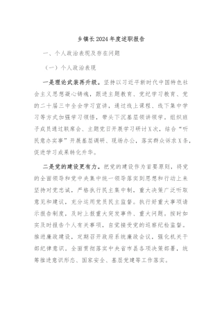 乡镇长2024年度述职报告